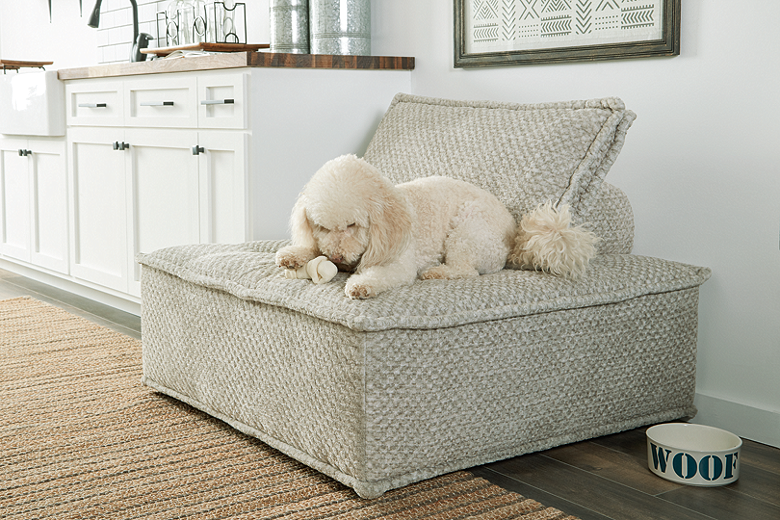 https://ashleyfurniture.scene7.com/is/image/AshleyFurniture/A3000244-DOG-BED-T-H-B